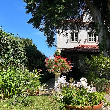 Villa Branca Jacinta سينترا المظهر الخارجي الصورة