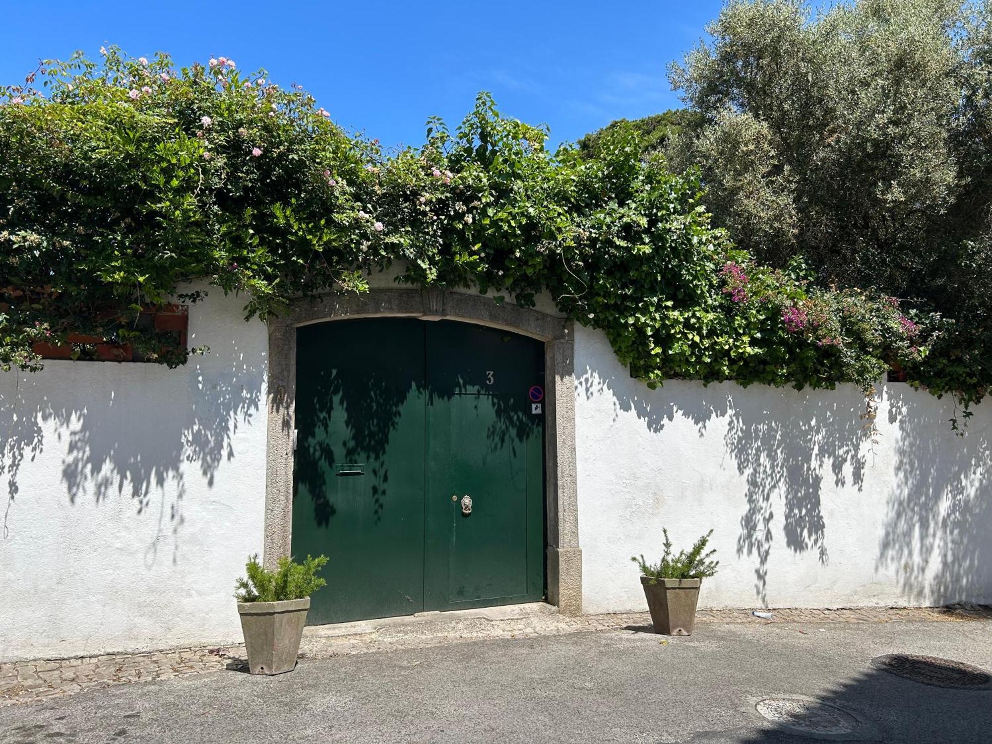 Villa Branca Jacinta سينترا المظهر الخارجي الصورة