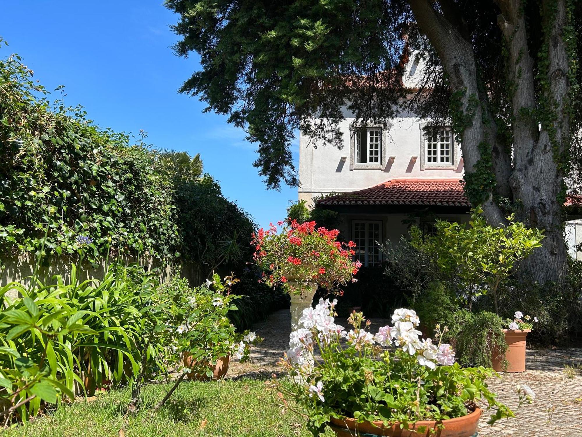 Villa Branca Jacinta سينترا المظهر الخارجي الصورة