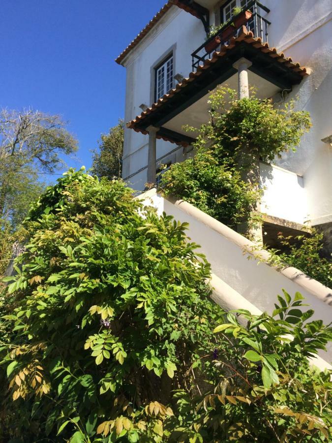 Villa Branca Jacinta سينترا المظهر الخارجي الصورة